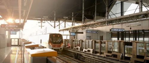 三龍灣南海片區(qū)兩大重點(diǎn)工程吹響新年建設(shè)發(fā)展號角